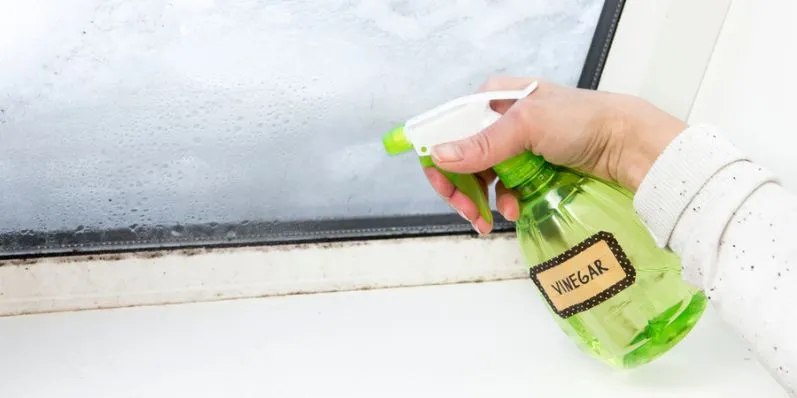 window cleaning solutions