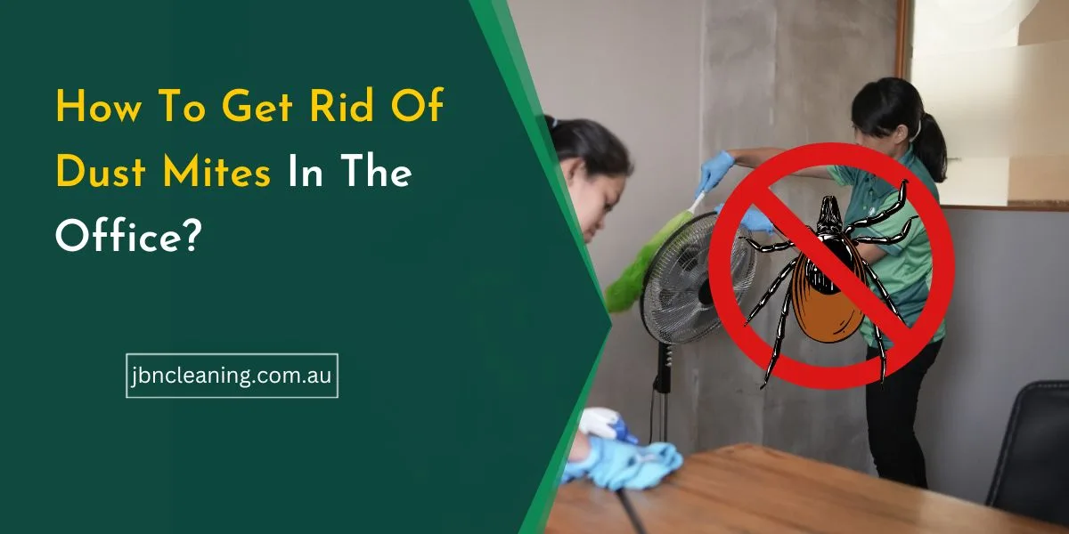 How to get rid of dust mites